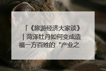 《旅游经济大家谈》｜菏泽牡丹如何变成造福一方百姓的“产业之花”“富民之花”？