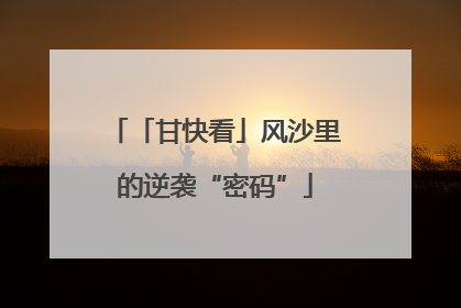 「甘快看」风沙里的逆袭“密码”