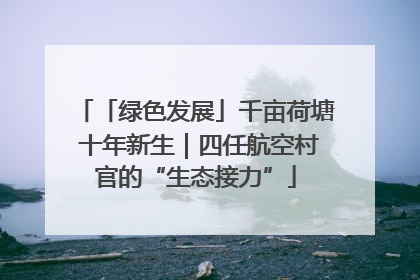 「绿色发展」千亩荷塘 十年新生｜四任航空村官的“生态接力”