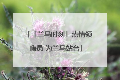 「兰马时刻」热情领嗨员 为兰马站台