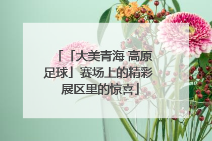 「大美青海 高原足球」赛场上的精彩 展区里的惊喜