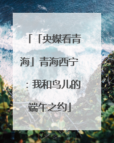 「央媒看青海」青海西宁：我和鸟儿的端午之约