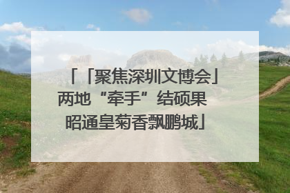 「聚焦深圳文博会」两地“牵手”结硕果 昭通皇菊香飘鹏城