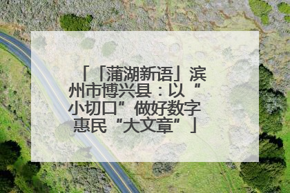 「蒲湖新语」滨州市博兴县：以“小切口”做好数字惠民“大文章”