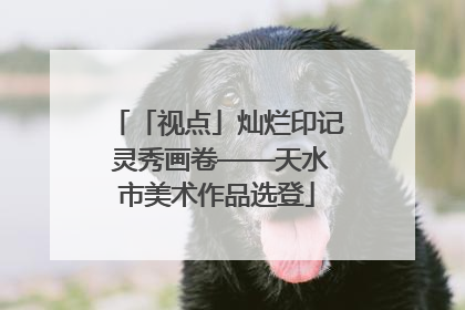「视点」灿烂印记 灵秀画卷——天水市美术作品选登