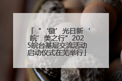 “‘徽’光日新‘皖’美之行”2025皖台基层交流活动启动仪式在芜举行