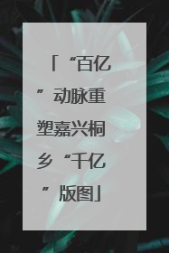 “百亿”动脉重塑嘉兴桐乡“千亿”版图