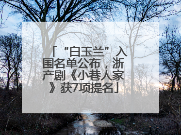 “白玉兰”入围名单公布，浙产剧《小巷人家》获7项提名
