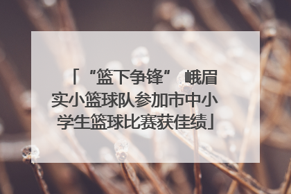 “篮下争锋” 峨眉实小篮球队参加市中小学生篮球比赛获佳绩