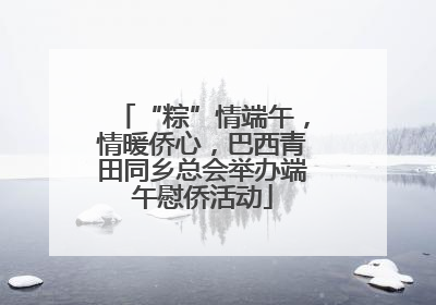 “粽”情端午，情暖侨心，巴西青田同乡总会举办端午慰侨活动