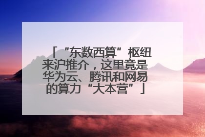 “东数西算”枢纽来沪推介，这里竟是华为云、腾讯和网易的算力“大本营”