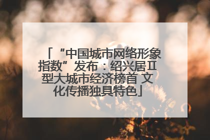 “中国城市网络形象指数”发布：绍兴居Ⅱ型大城市经济榜首 文化传播独具特色