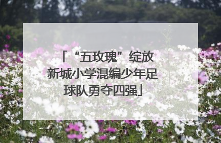 “五玫瑰”绽放 新城小学混编少年足球队勇夺四强