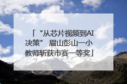 “从芯片视频到AI决策” 眉山彭山一小教师斩获市赛一等奖