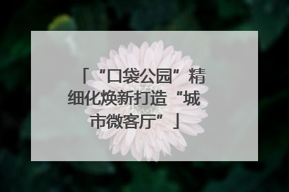 “口袋公园”精细化焕新打造“城市微客厅”
