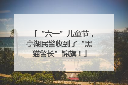 “六一”儿童节，亭湖民警收到了“黑猫警长”锦旗！