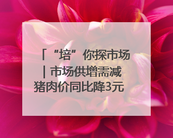 “培”你探市场｜市场供增需减 猪肉价同比降3元 未来40天便宜猪肉敞开吃