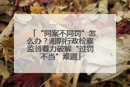 “同案不同罚”怎么办？湘阴行政检察监督着力破解“过罚不当”难题