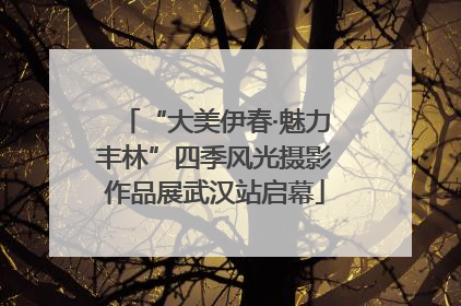 “大美伊春·魅力丰林”四季风光摄影作品展武汉站启幕