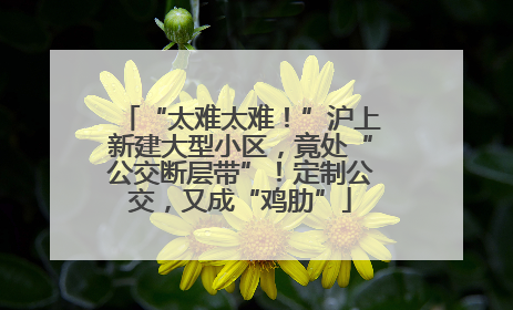 “太难太难！”沪上新建大型小区，竟处“公交断层带”！定制公交，又成“鸡肋”