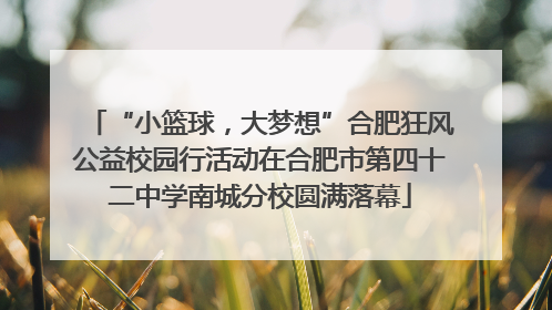 “小篮球，大梦想”合肥狂风公益校园行活动在合肥市第四十二中学南城分校圆满落幕