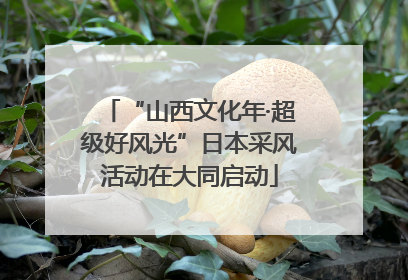“山西文化年·超级好风光”日本采风活动在大同启动