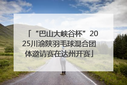 “巴山大峡谷杯”2025川渝陕羽毛球混合团体邀请赛在达州开赛