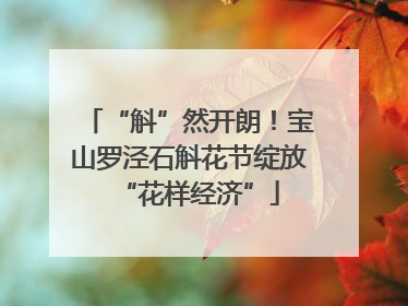 “斛”然开朗！宝山罗泾石斛花节绽放“花样经济”