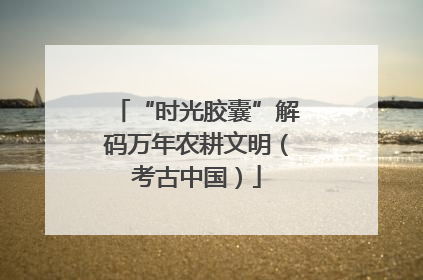 “时光胶囊”解码万年农耕文明（考古中国）