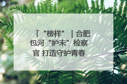 “榜样”｜合肥包河“护未”检察官 打造守护青春成长的永恒灯塔