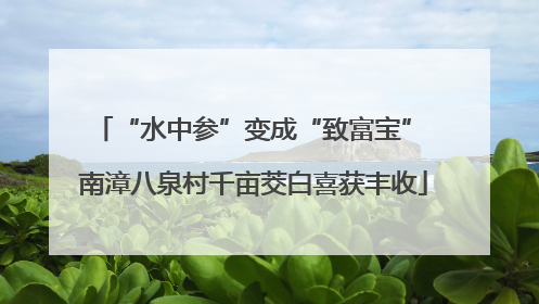 “水中参”变成“致富宝” 南漳八泉村千亩茭白喜获丰收