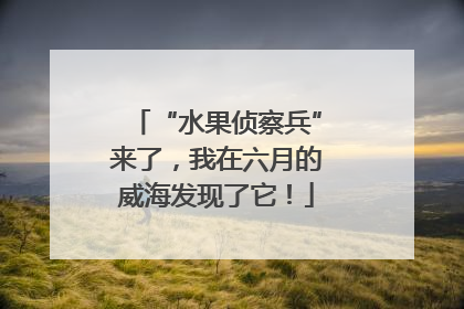 “水果侦察兵”来了，我在六月的威海发现了它！