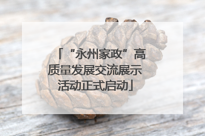 “永州家政”高质量发展交流展示活动正式启动