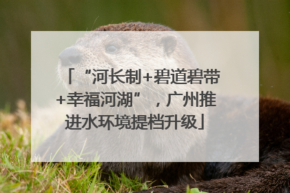 “河长制+碧道碧带+幸福河湖”，广州推进水环境提档升级