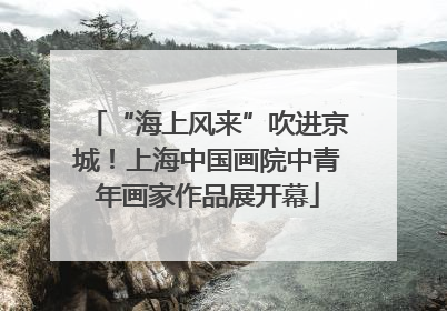 “海上风来”吹进京城！上海中国画院中青年画家作品展开幕