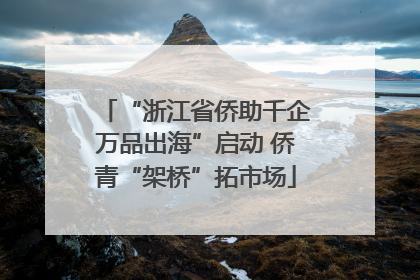 “浙江省侨助千企万品出海”启动 侨青“架桥”拓市场
