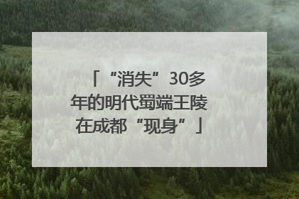 “消失”30多年的明代蜀端王陵在成都“现身”