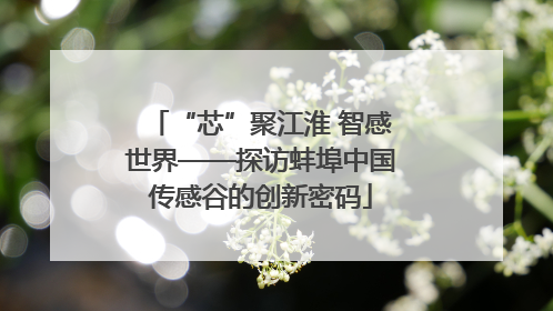 “芯”聚江淮 智感世界——探访蚌埠中国传感谷的创新密码
