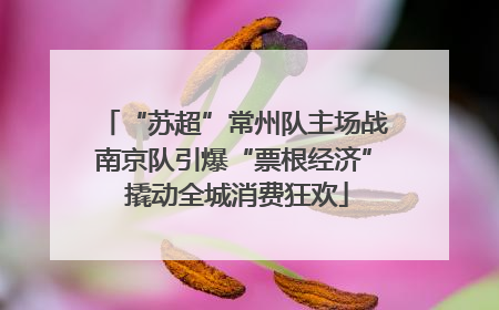 “苏超”常州队主场战南京队引爆“票根经济” 撬动全城消费狂欢