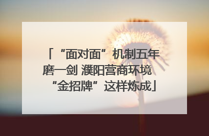 “面对面”机制五年磨一剑 濮阳营商环境“金招牌”这样炼成