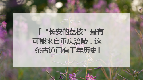 “长安的荔枝”最有可能来自重庆涪陵，这条古道已有千年历史