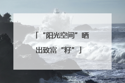 “阳光空间”晒出致富“籽”