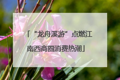 “龙舟溪游”点燃江南西商圈消费热潮