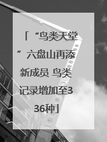 “鸟类天堂”六盘山再添新成员 鸟类记录增加至336种