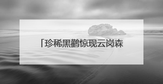 珍稀黑鹳惊现云岗森林公园！丰台这片宝地藏着多少惊喜？