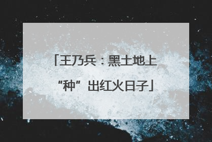 王乃兵：黑土地上“种”出红火日子