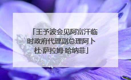 王予波会见阿富汗临时政府代理副总理阿卜杜·萨拉姆·哈纳菲
