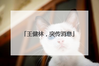 王健林，突传消息