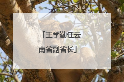 王学勤任云南省副省长
