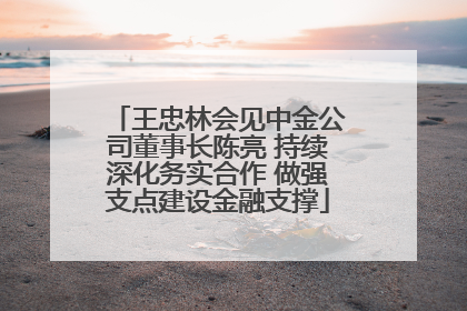 王忠林会见中金公司董事长陈亮 持续深化务实合作 做强支点建设金融支撑